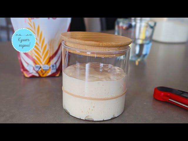 Everything you need to know about sourdough starter from A to Z. For beginners.