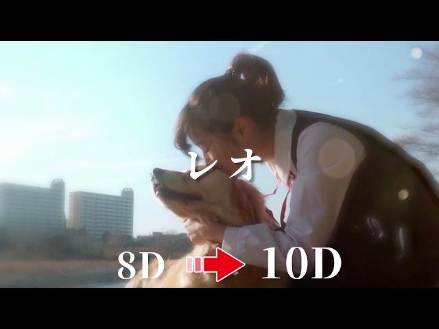 【 10D 立体音響 】優里『レオ』｜イヤホン・ヘッドホン推奨