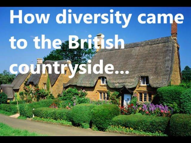 Resistance is futile; why white flight to the British countryside is no longer an option