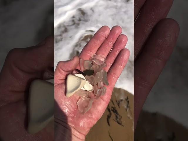 Seaglass hunting… sacrificing glass for a star find!