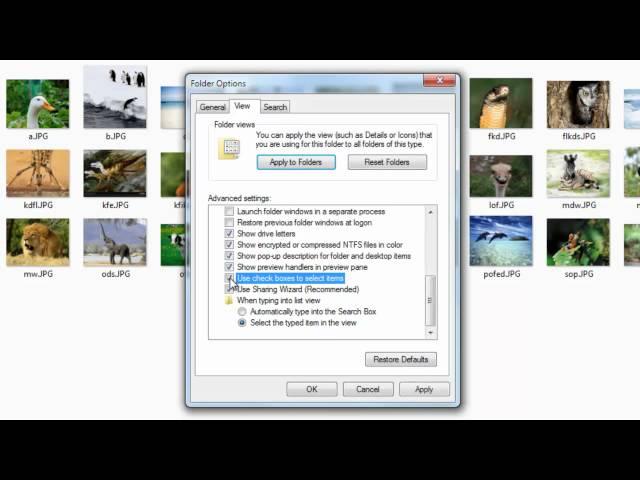 Select Multiple Files in Windows Explorer