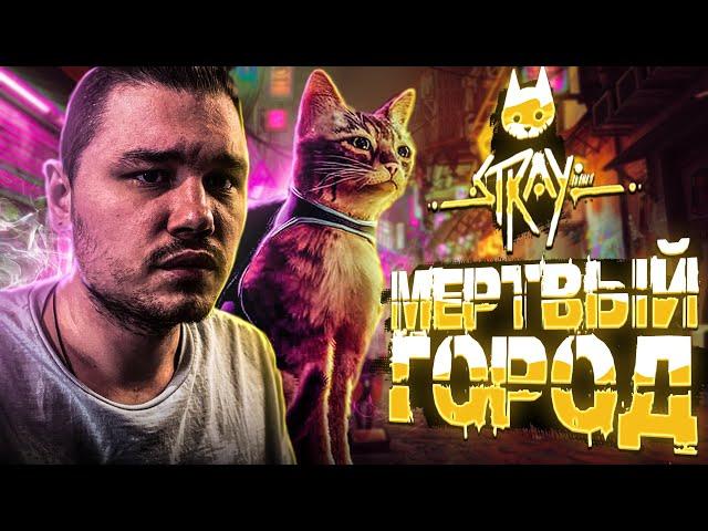 СИЛЬНЕЙШИЙ В МИРЕ КОТ | Stray Прохождение#1