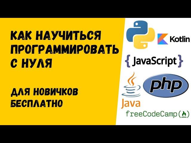 Как научиться программировать для новичков и бесплатно / Курсы от Stepik.org и FreeCodeCamp отзыв