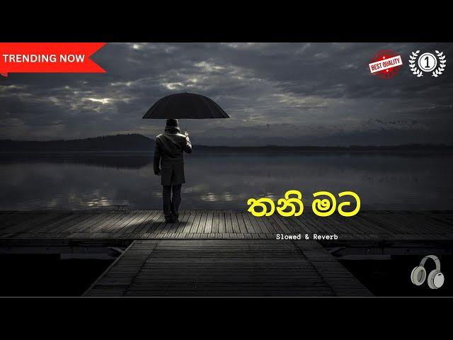 තනි මට | Thani Mata | Slowed and Reverb | Melody Master