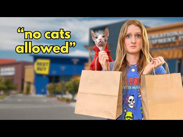 I Took My Cat Shopping With Me