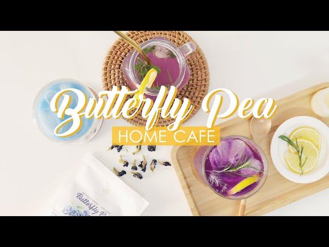 Home cafe  Butterfly pea lemonade, sunset tea-ade, blue latte