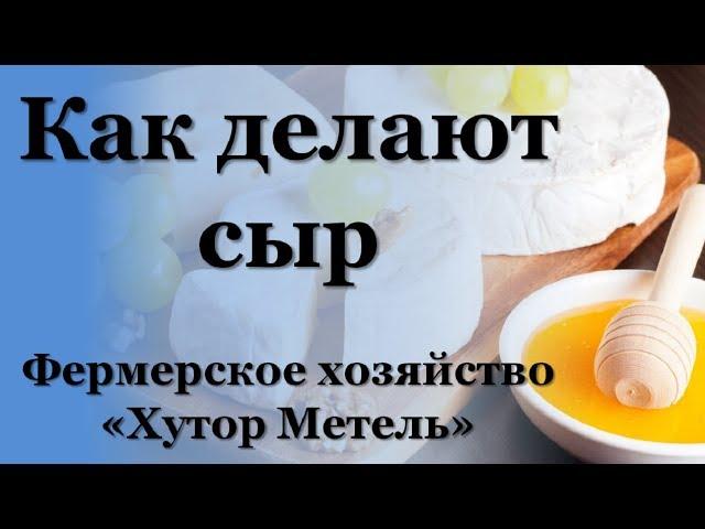 Как делают сыр. Фермерское хозяйство "Хутор Метель"