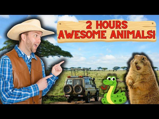 Exotic Animal Adventure for Kids | Meet Awesome Animals with Cowboy Jack