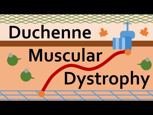 Duchenne Muscular Dystrophy and Dystrophin