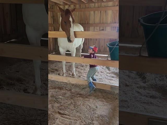 Love these simple moments!   #horse #cute #love #bestfriend #equestrian #equine