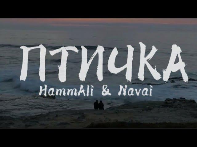 HammAli & Navai - Птичка (Lyrics) текст/slow