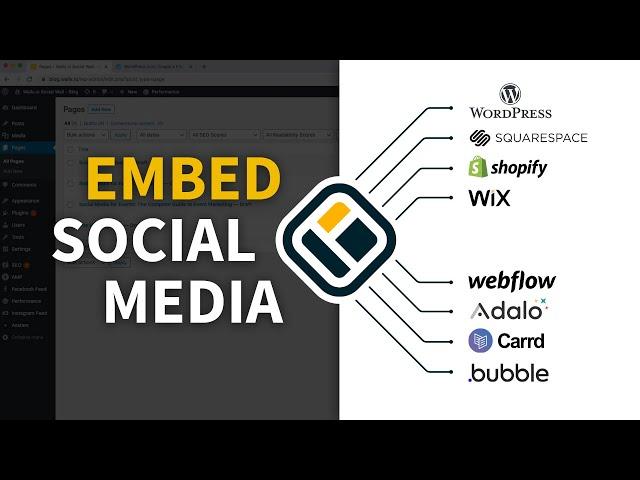 How to Embed Social Media on your Website built with Wordpress, Squarespace, Shopify, Wix, Webflow