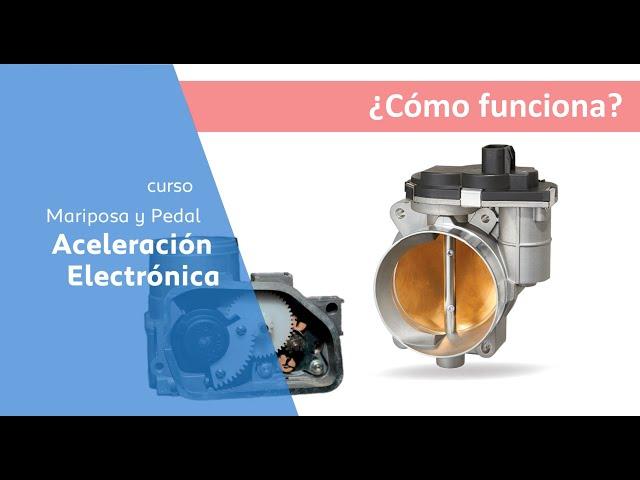 Curso de sistemas de aceleración electrónico - ¿Como funciona?