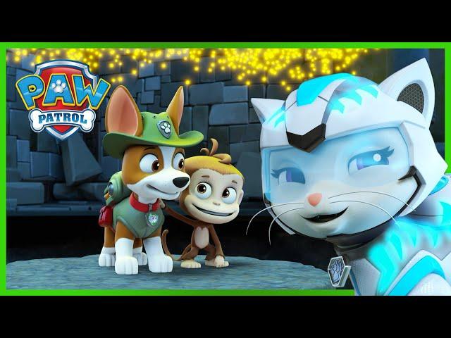 Cat Pack and Tracker save a Monkey in the Jungle! - PAW Patrol - Cartoons for Kids Compilation