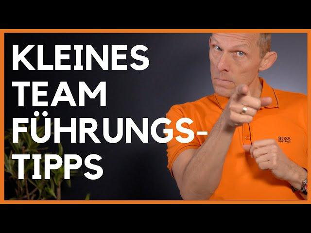 Wie führe ich ein kleines Team? [5 Tipps für Teamleiter]