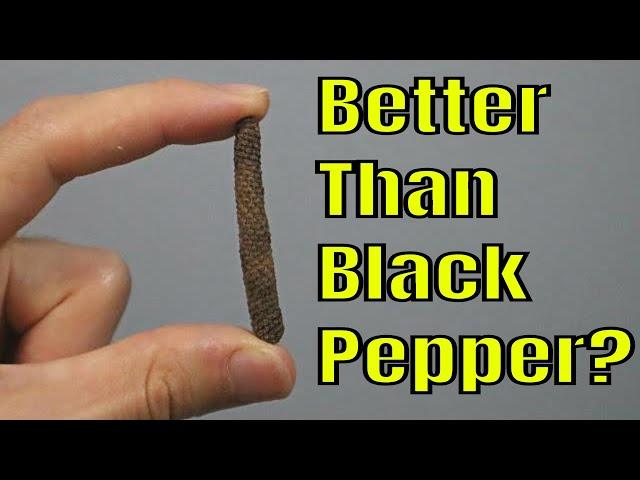 Long Pepper (fresh fruit review) - Weird Fruit Explorer Ep. 309