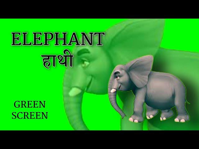 Elephant हाथी | running walking greenscreen cartoon animation | wild animals