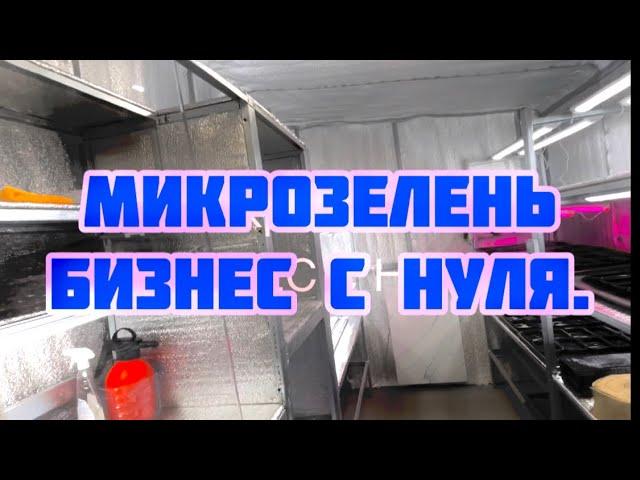 БИЗНЕС НА МИКРОЗЕЛЕНИ | КАК НАЧАТЬ | СКОЛЬКО ПРИНОСИТ ПРИБЫЛИ ДОМАШНЯЯ ТЕПЛИЦА???