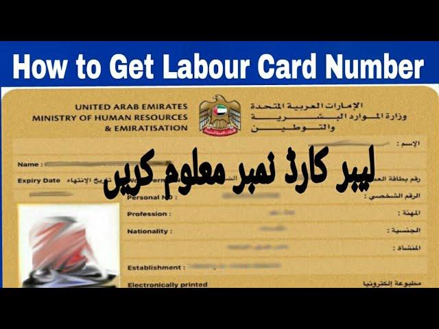 How Can Laobur Card No in UAE|How to Know the Laobur Card Number in Dubai