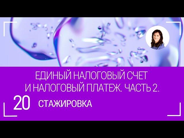 Учет единого налогового счёта и платёжа. Часть 2.