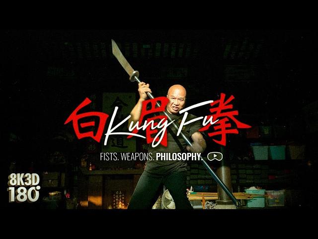 Pak Mei Kung Fu in 3D VR180 | Authentic Chinese Martial Arts: Fists, Weapons & Philosophy