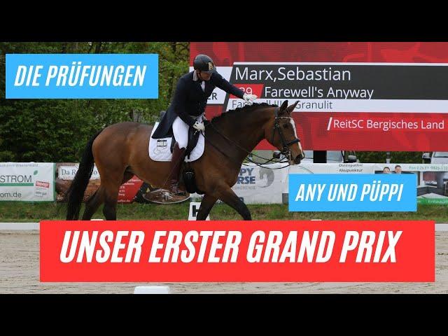 Unser erster Grand Prix für Any Püppi und mich - Prüfung (Part 2)