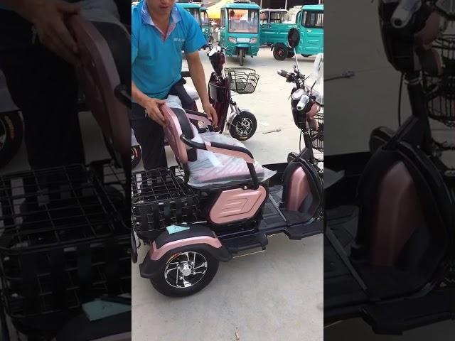 three wheel passenger electric tricycle for adults elderly