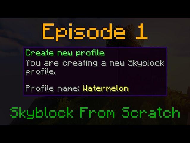 And So It Begins... | Skyblock From Scratch 1