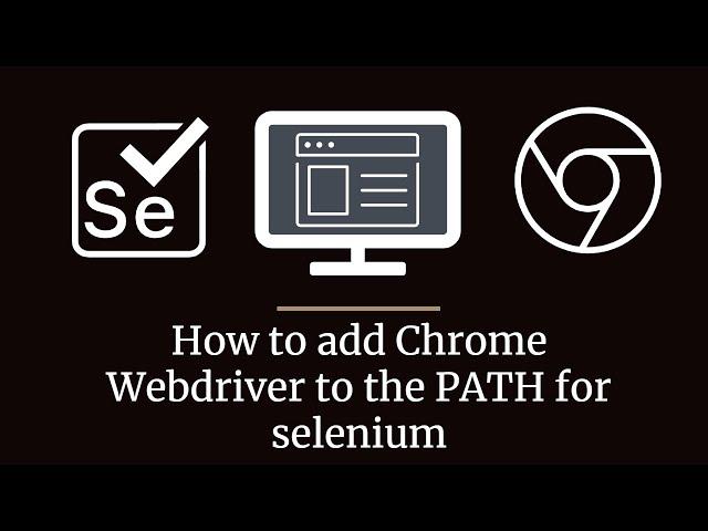 How to install Chrome webdriver to PATH