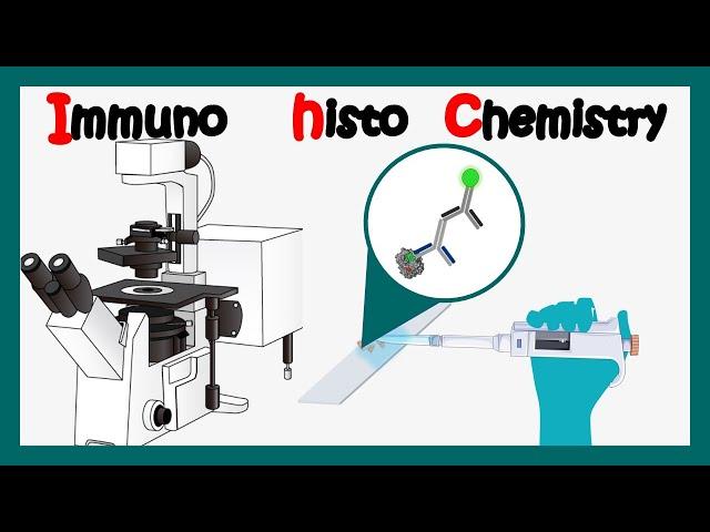 Immunohistochemistry | How to perform immunohistochemistry? | application of immunohistochemistry