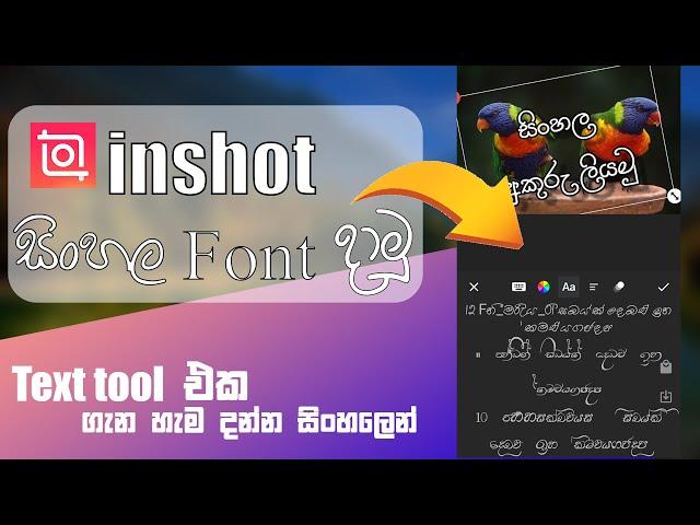 How to import sinhala font on inshot | sinhala font add inshot | Editor lk