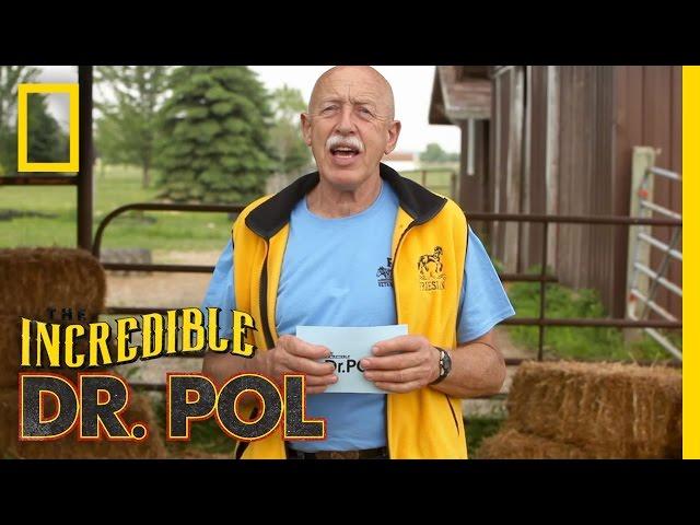 Yes Dear - Season 2, Episode 4 | Coffee Break With Dr. Pol