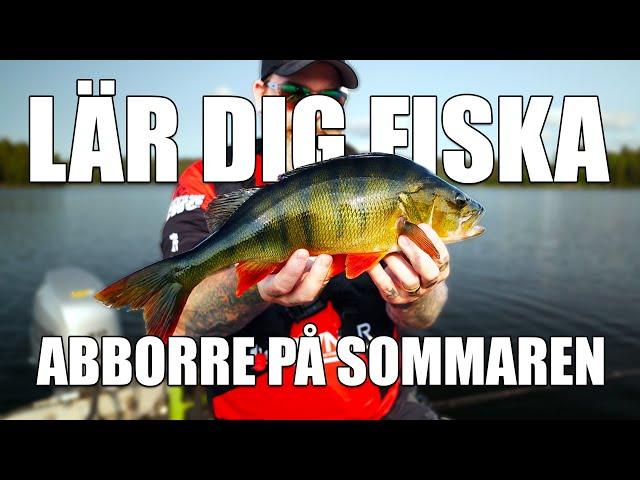 Så fiskar du abborre på sommaren! 3 viktiga tips som hjälper dig att lyckas