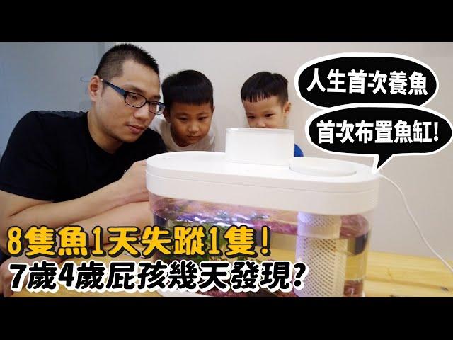 【整人】魚接連失蹤!7歲4歲屁孩第幾天才發現?人生首次養魚!第一次布置魚缸!【許伯簡芝】PRANK許軒、許睿【軒睿兄弟】