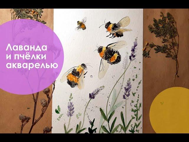 Как нарисовать акварелью Пчёл и Лаванду. Для начинающих