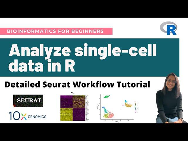 How to analyze single-cell RNA-Seq data in R | Detailed Seurat Workflow Tutorial