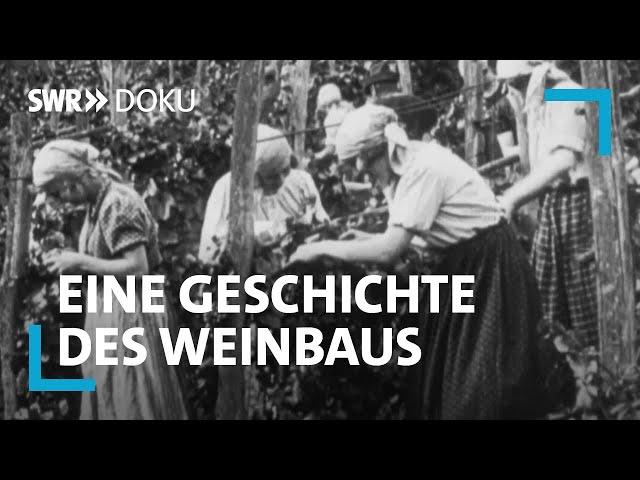 Harte Handarbeit: Weinbau zwischen Maschinen & Mythos  | SWR Doku