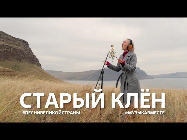 "Старый клён" Легендарная песня в проекте #Музыкавместе #ПесниВеликойСтраны #РесурсыСибири