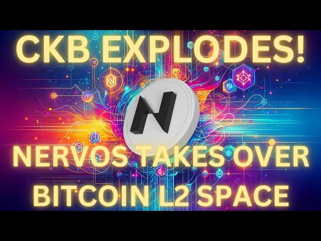 The Nervos Network Phenomenon: Can it Become China's Polygon? Secrets Behind CKB's Parabolic Surge!