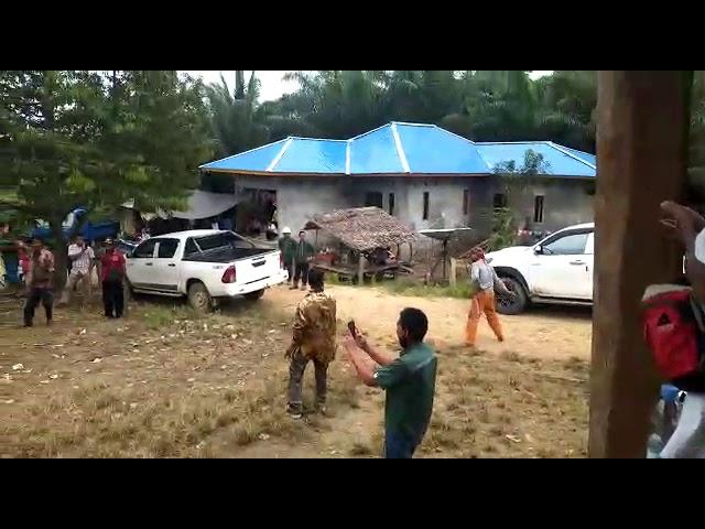 Tarian adat suku bunggu, dalam acara pesta adat di sulawesi barat