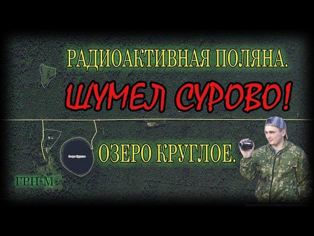 Шумел сурово. Озеро Круглое. Радиоактивная поляна.