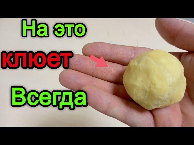 Лучшее тесто для рыбалки . Тесто на карася. Тесто которое ловит всю рыбу.