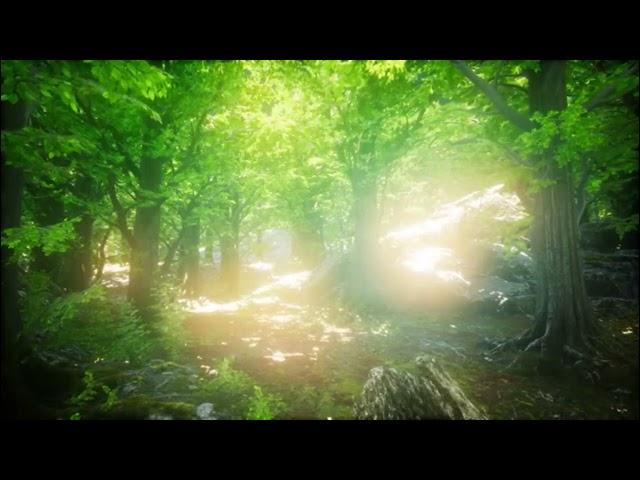 Garden Of Eden, Utopia, Enchanted Forest   -  Motion Graphics Background Video