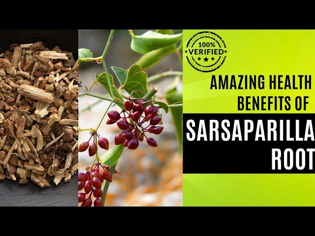 Unlocking the Secrets of Sarsaparilla Root: A Journey into Its Health Benefits