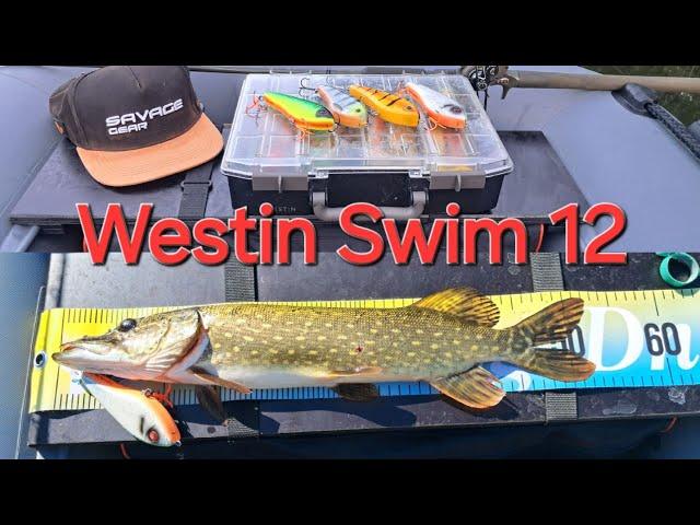 Westin swim 12 щука на джерк летом!