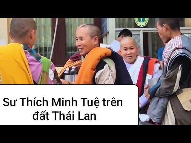 Sư Minh Tuệ và đoàn Bộ hành Thái Lan 5 1 2025, với rất nhiều căng thẳng với phước nghiêm