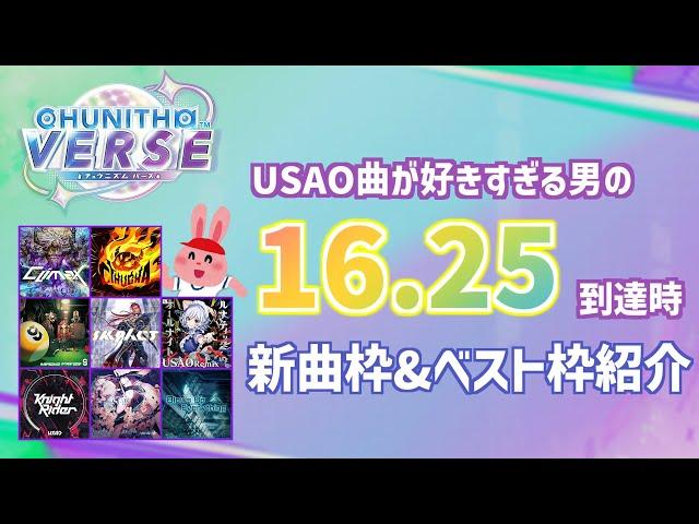 【CHUNITHM VERSE】選曲に偏りがありすぎる16.25到達時 新曲枠&ベスト枠紹介