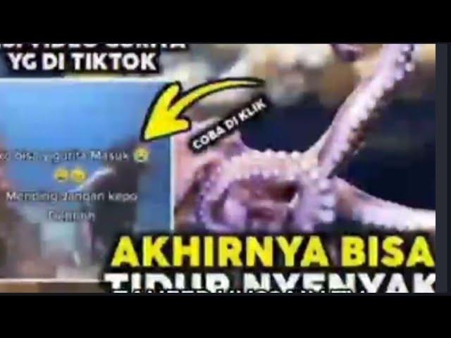 GURITA VIRAL TIKTOK? GURITA MASUK VIRAL DI TIKTOK FULL VIDEO | gurita masuk viral video full