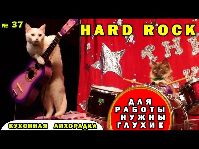 Вот это облом Hard Rock Cafe - Кухонная лихорадка прохождение #37 уровень