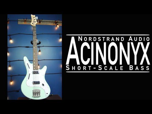 Nordstrand Audio Acinonyx Bass Demo